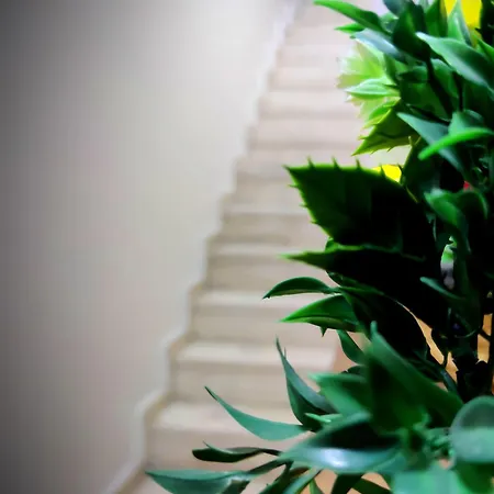 Mimoza ıstiklal Apartmanhotel