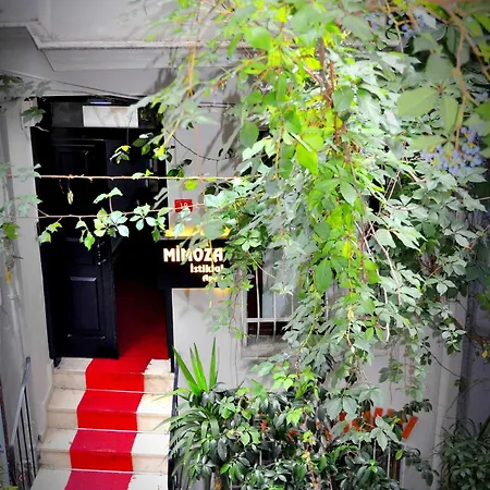 Mimoza ıstiklal *